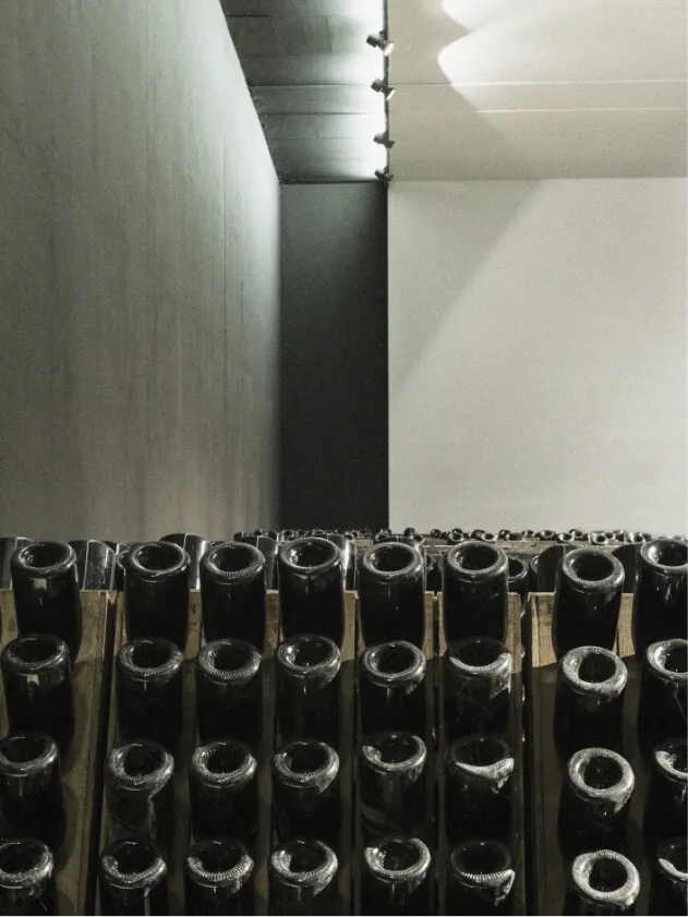 Cantina Puiatti - Cantina