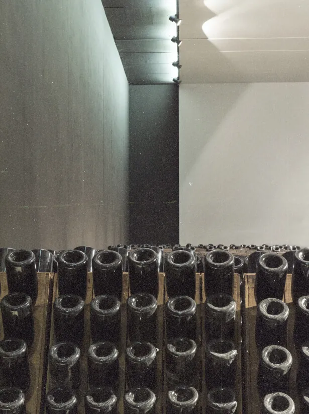 Cantina Puiatti - Winery